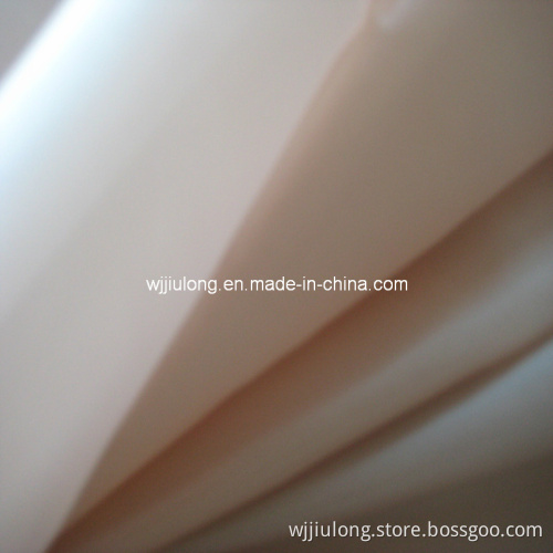 15d Ultra-Thin Nylon Taffeta Fabric (JLF3028)